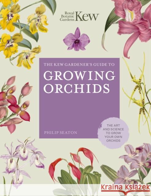 The Kew Gardener's Guide to Growing Orchids: The Art and Science to Grow Your Own Orchids Philip Seaton Royal Botanic Gardens Kew 9780711242807 White Lion Publishing - książka