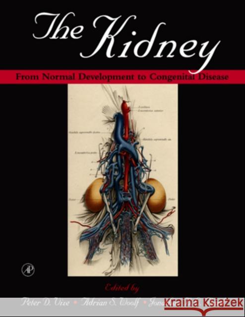 The Kidney: From Normal Development to Congenital Disease Vize, Peter D. 9780127224411 Academic Press - książka