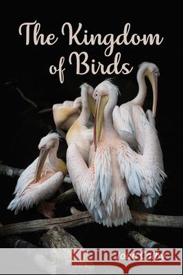 The Kingdom of Birds Joan Colby Shawn Avening 9781948461603 Poetry Box Select - książka