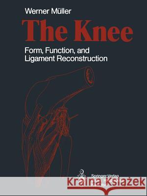 The Knee: Form, Function, and Ligament Reconstruction Müller, W. 9783642617652 Springer - książka