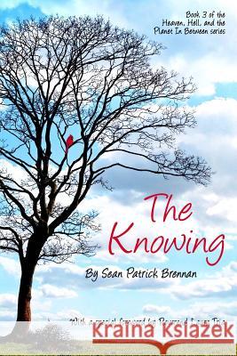 The Knowing Sean Patrick Brennan 9781514123478 Createspace - książka