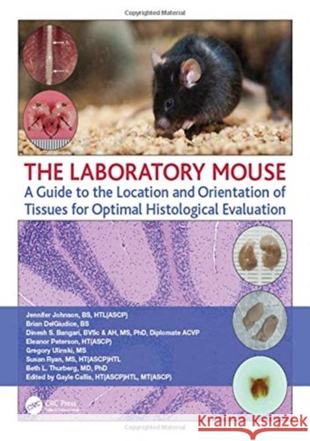 The Laboratory Mouse: A Guide to the Location and Orientation of Tissues for Optimal Histological Evaluation Jennifer Johnson Brian Delgiudice Dinesh Bangari 9780367178000 CRC Press - książka