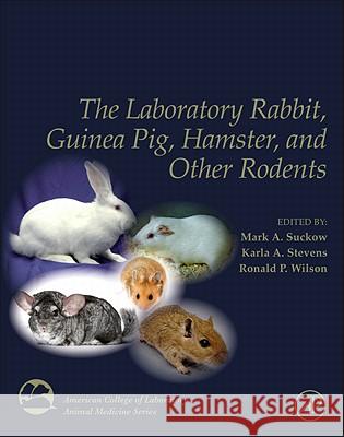 The Laboratory Rabbit, Guinea Pig, Hamster, and Other Rodents Suckow, Mark A., Stevens, Karla A., Wilson, Ronald P. 9780123809209 Academic Press - książka