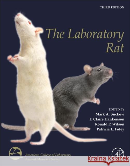 The Laboratory Rat Mark a. Suckow F. Claire Hankenson Ronald P. Wilson 9780128143384 Academic Press - książka