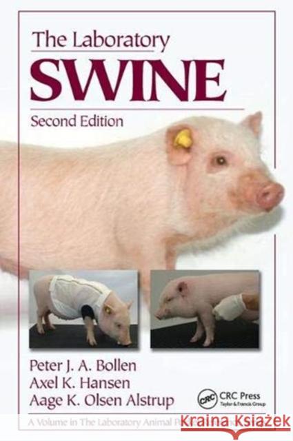 The Laboratory Swine Peter J. A. Bollen 9781138437289 Taylor and Francis - książka