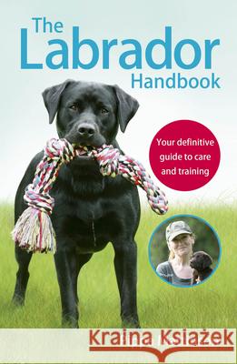 The Labrador Handbook: The definitive guide to training and caring for your Labrador Pippa Mattinson 9781785030918 Ebury Press - książka