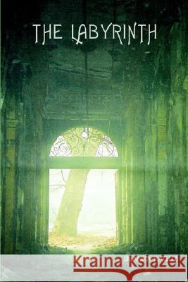 The Labyrinth BLANCA RAGUZ 9781418419721 AuthorHouse - książka