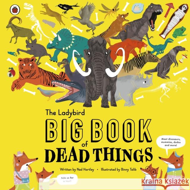 The Ladybird Big Book of Dead Things Hartley, Ned 9780241376096 Ladybird - książka