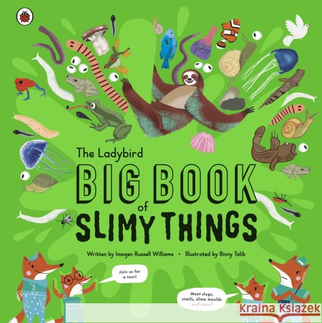 The Ladybird Big Book of Slimy Things Russell Williams, Imogen 9780241413623 Penguin Random House Children's UK - książka