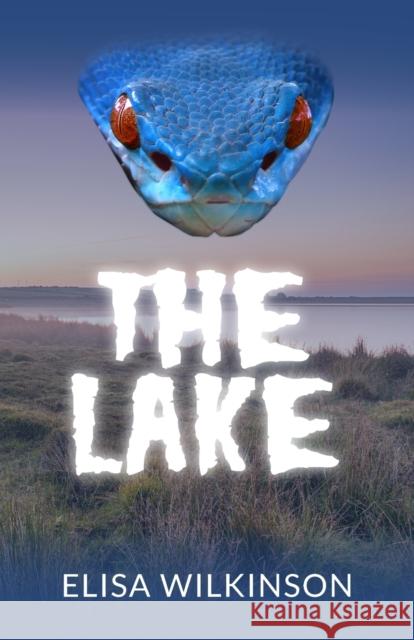 The Lake Elisa Wilkinson 9781803690018 New Generation Publishing - książka