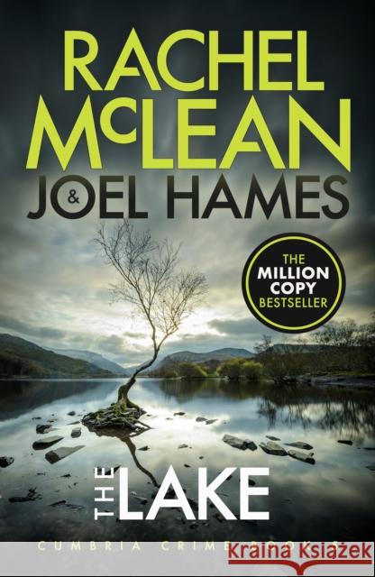 The Lake Joel Hames 9781835601877 Ackroyd Publishing - książka