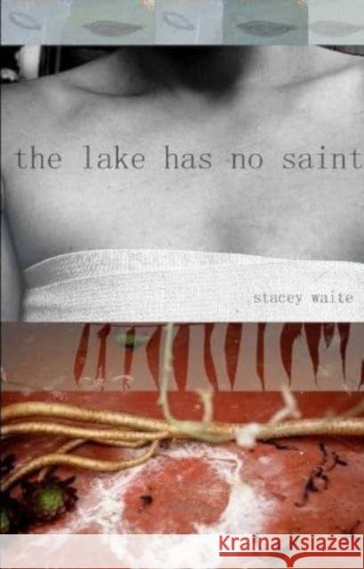 The Lake Has No Saint Stacey Waite 9781932195811 Tupelo Press - książka