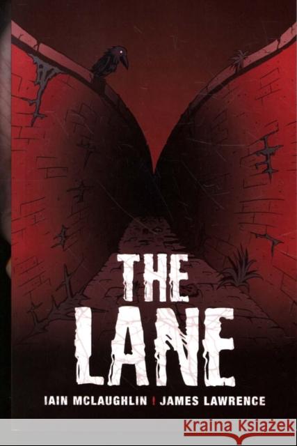 The Lane Iain McLaughlin, James Lawrence 9781788373821 Badger Learning - książka