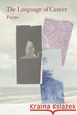 The Language of Cancer Caroline Johnson 9781639807420 Kelsay Books - książka
