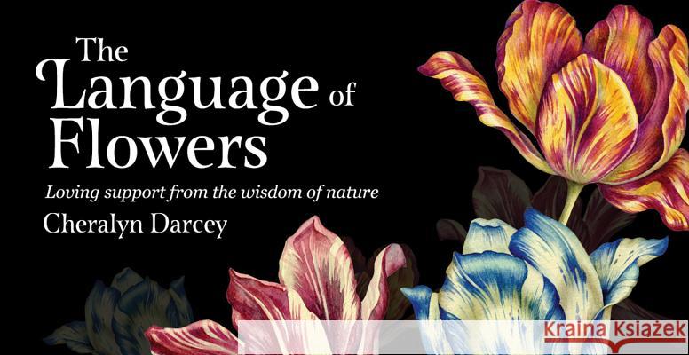 The Language of Flowers: Loving support from the wisdom of nature Cheralyn Darcey 9781925682984 Rockpool Publishing - książka