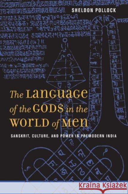 The Language of the Gods in the World of Men: Sanskrit, Culture, and Power in Premodern India Pollock, Sheldon 9780520245006 University of California Press - książka