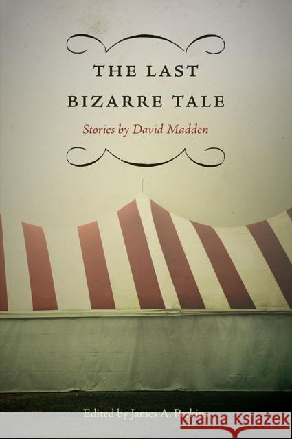 The Last Bizarre Tale: Stories Madden, David 9781621900528 University of Tennessee Press - książka
