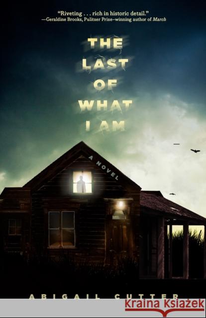 The Last of What I Am: A Novel Abigail Cutter 9781454951780 Union Square & Co. - książka