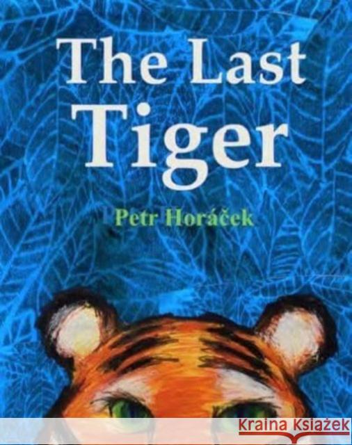 The Last Tiger Petr Horacek 9781913074258 Otter-Barry Books Ltd - książka