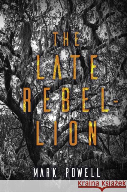 The Late Rebellion Mark Powell 9781646034123 Regal House Publishing LLC - książka