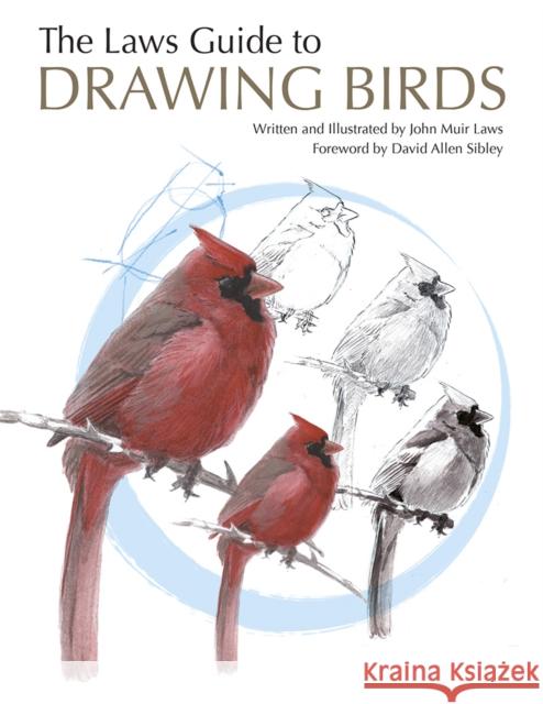 The Laws Guide to Drawing Birds John Muir Laws 9781597141956 Heyday Books - książka