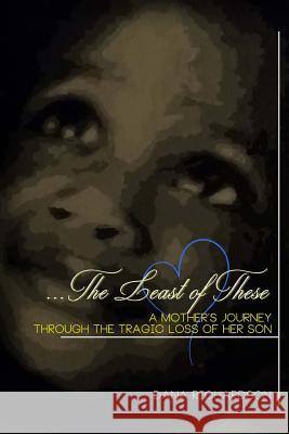The Least of These: A Mother's Journey through the Tragic Loss of Her Son Richardson, Dana D. 9781539524977 Createspace Independent Publishing Platform - książka