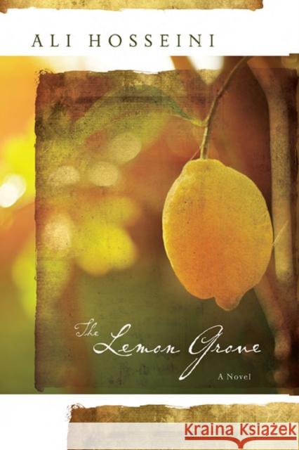 The Lemon Grove Hosseini, Ali 9780810128293 Curbstone Press - książka