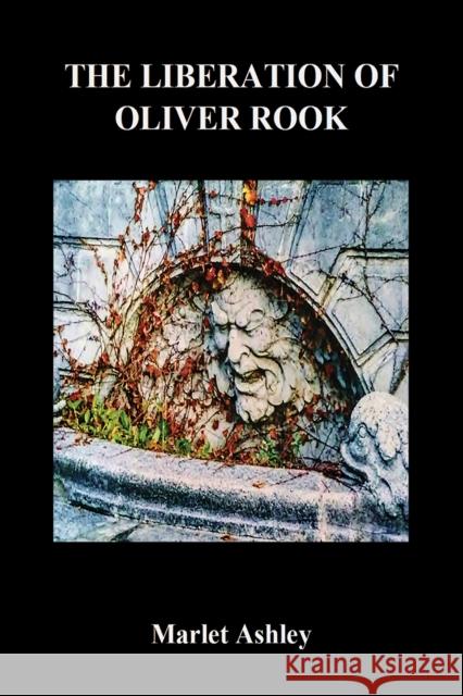 The Liberation of Oliver Rook Marlet Ashley 9798886938623 Austin Macauley Publishers LLC - książka