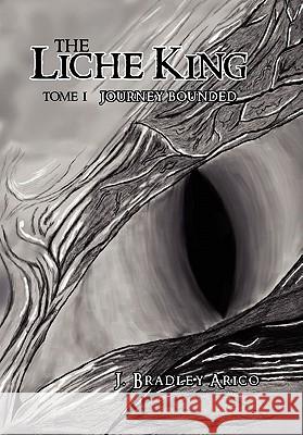 The Liche King J. Bradley Arico 9781453578063 Xlibris Corporation - książka