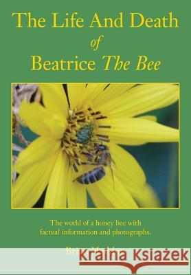 The Life and Death of Beatrice the Bee Brian Haddon 9781908904539 Northern Bee Books - książka