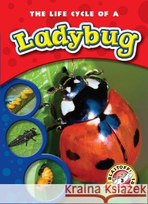 The Life Cycle of a Ladybug Colleen Sexton 9781600145254 Blastoff! Readers - książka