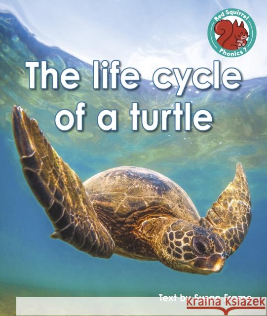 The life cycle of a turtle Susan Frame 9781398252561 Capstone Global Library Ltd - książka