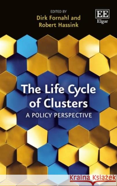 The Life Cycle of Clusters: A Policy Perspective Dirk Fornahl Robert Hassink  9781784719272 Edward Elgar Publishing Ltd - książka