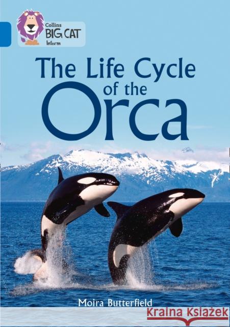 The Life Cycle of the Orca: Band 16/Sapphire Moira Butterfield 9780008208905 HarperCollins UK - książka
