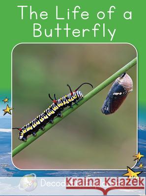 The Life of a Butterfly: Fluency Boost Pam Holden 9781776936236 Red Rocket (Tm) Readers - książka