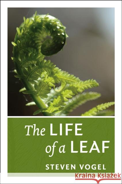 The Life of a Leaf Steven Vogel 9780226104775 University of Chicago Press - książka