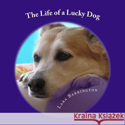 The Life of a Lucky Dog Lara Barrington 9781537342566 Createspace Independent Publishing Platform - książka