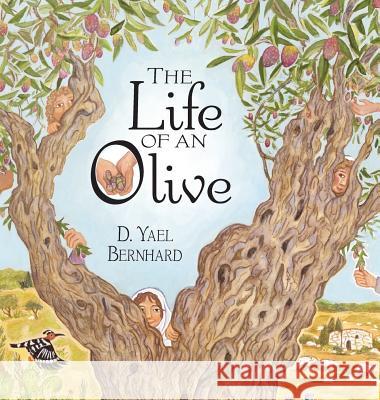 The Life of an Olive D. Yael Bernhard 9781942762287 Heliotrope Books LLC - książka