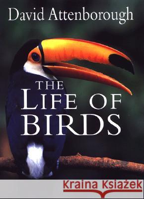 The Life of Birds David Attenborough 9780691016337 Princeton University Press - książka