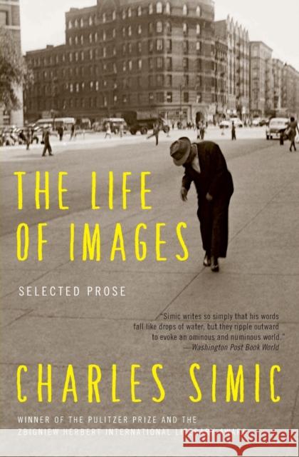 The Life of Images: Selected Prose Charles Simic 9780062364739 Ecco Press - książka