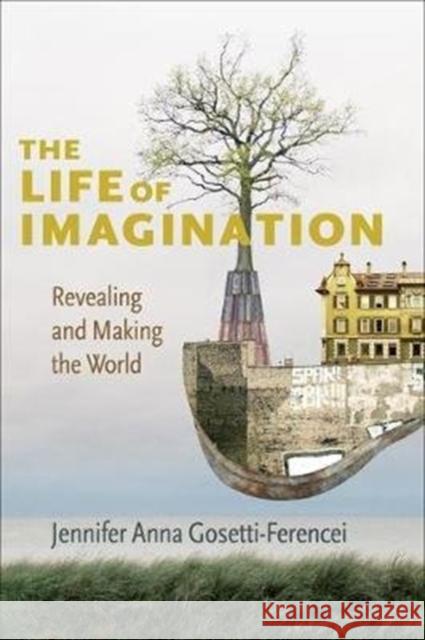 The Life of Imagination: Revealing and Making the World Jennifer Anna Gosetti-Ferencei 9780231189095 Columbia University Press - książka