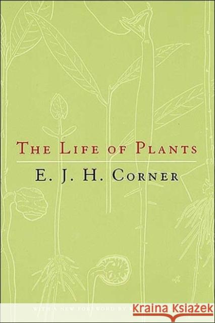 The Life of Plants University of Chicago Press              E. J. H. Corner University of Chicago Press 9780226116150 University of Chicago Press - książka