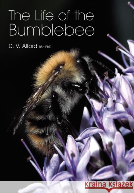 The Life of the bumblebee D V Alford 9781904846420 Northern Bee Books - książka