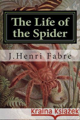 The Life of the Spider J. Henri Fabre 9781507561515 Createspace - książka