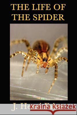 The Life of the Spider Jean-Henri Fabre 9781617203183 Smk Books - książka