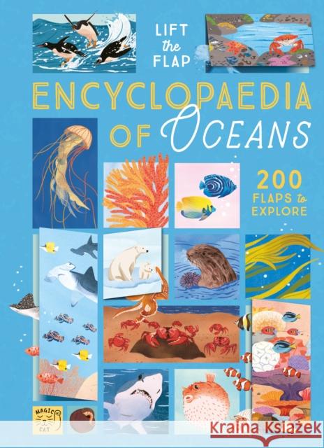 The Lift-the-Flap Encyclopaedia of Oceans: 200 Flaps to Explore! Camilla de la Bedoyere 9781917044394 Magic Cat Publishing - książka