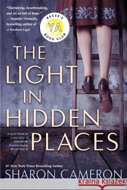 The Light in Hidden Places Sharon Cameron 9781338355949 Scholastic US - książka