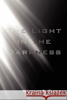 The Light in the Darkness Raymond E. Seccia 9781453548875 Xlibris Corporation - książka