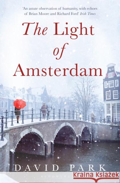 The Light of Amsterdam David Park 9781408831540 Bloomsbury Publishing PLC - książka