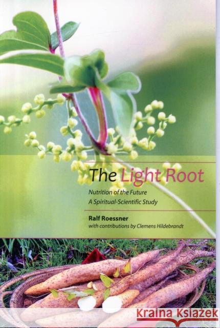 The Light Root: Nutrition of the Future, a Spiritual-Scientific Study Clemens Hildebrandt 9781906999636 Temple Lodge Publishing - książka